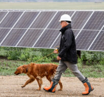 Landowner Duane Olson and his dog Bella walk past solar panels at the opening of the Michichi Solar project near Drumheller, Alta., Tuesday, July 11, 2023. Jeff McIntosh/The Canadian Press. 